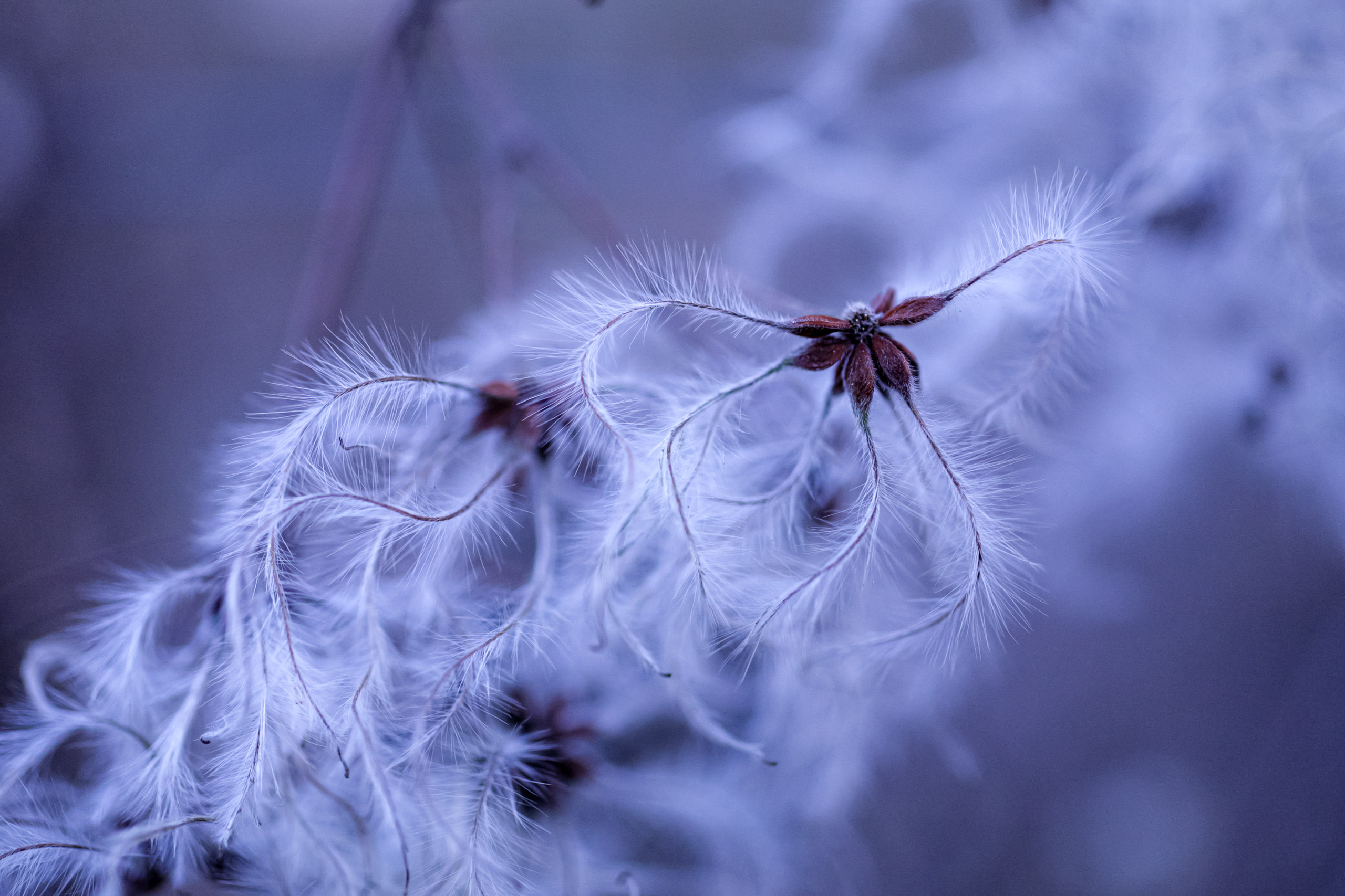 20080223174818 IMG 2558